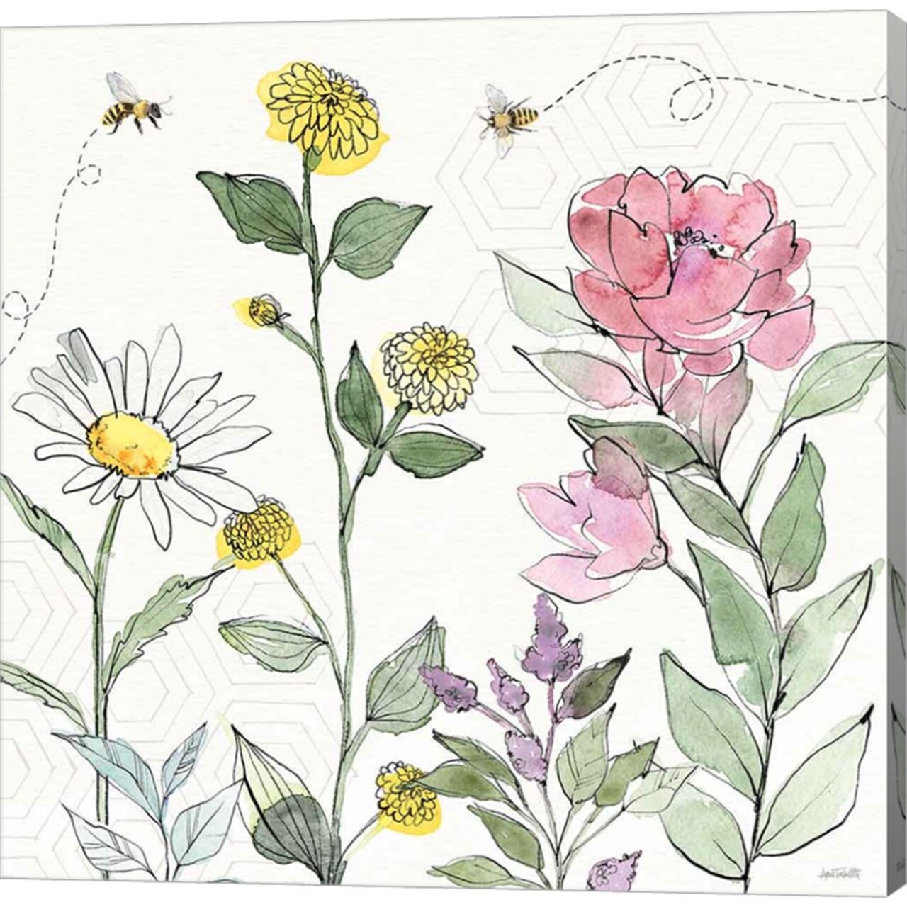 Honeybee Blossoms III by Anne Tavoletti 24" x 24" Canvas Wall Art